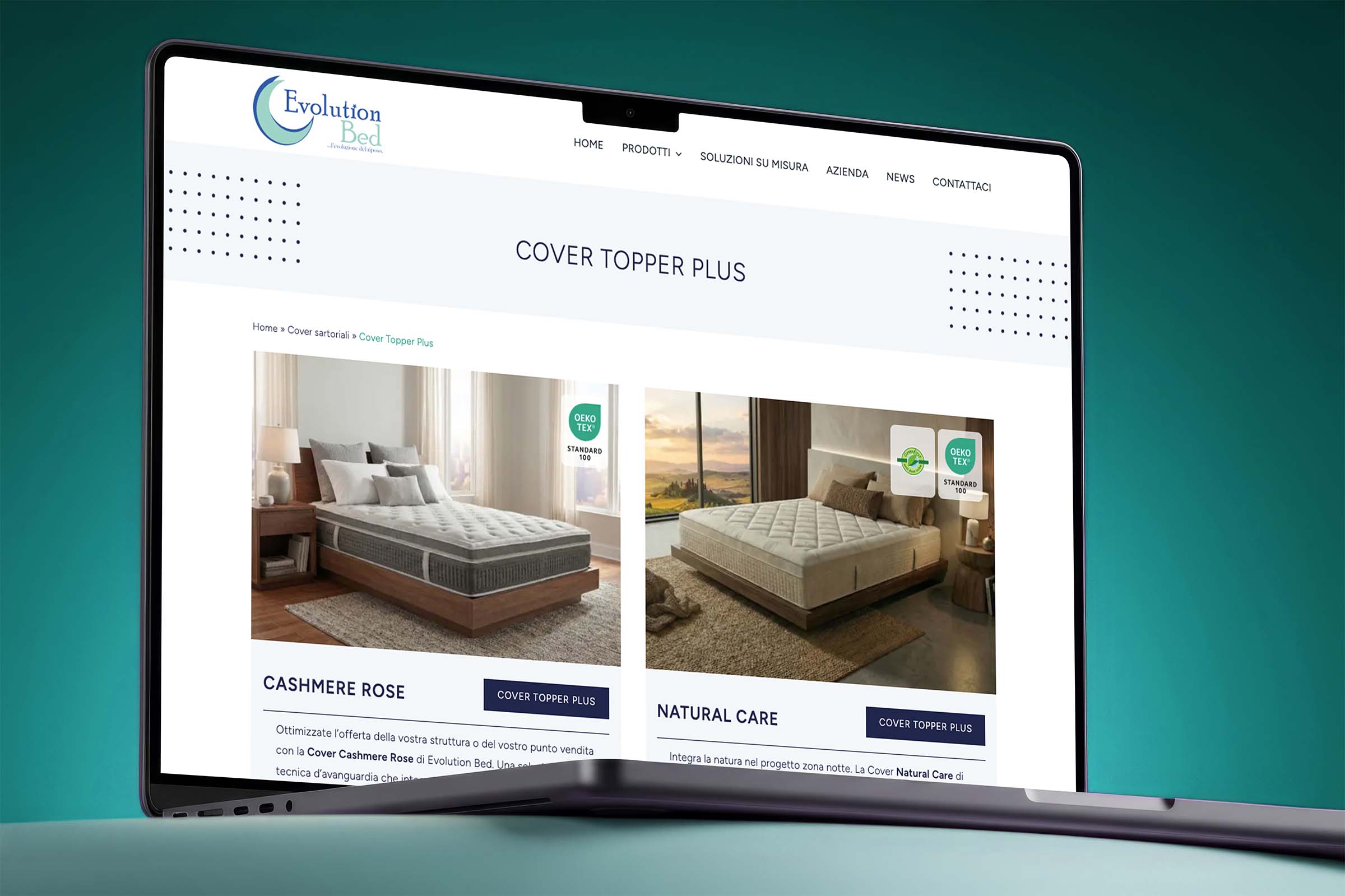 Evolution Bed B2B web design